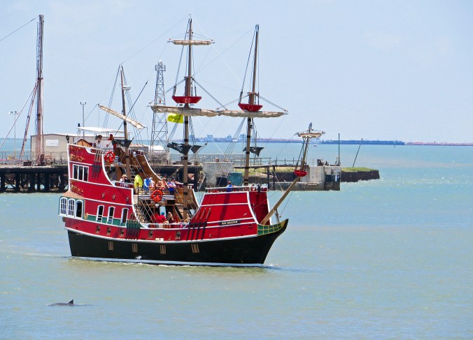 Pirate ship dolphin