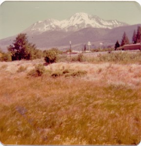 Mountains and golden grass edit