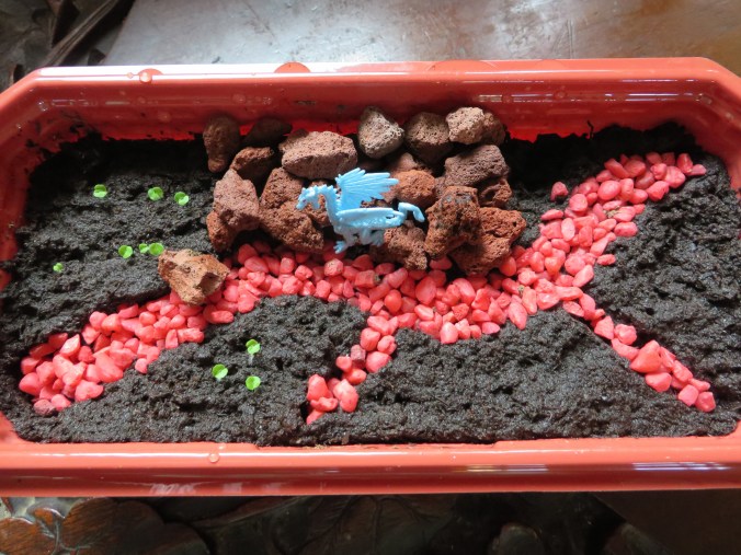 Dragons Lair 3-13-2015 Black Dragon Coleus seedlings