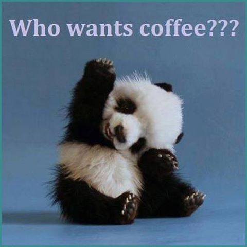 Who wants coffee panda