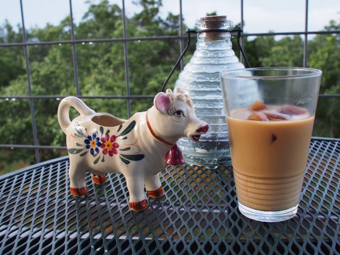 Finished product. In the background is our solar firefly light.