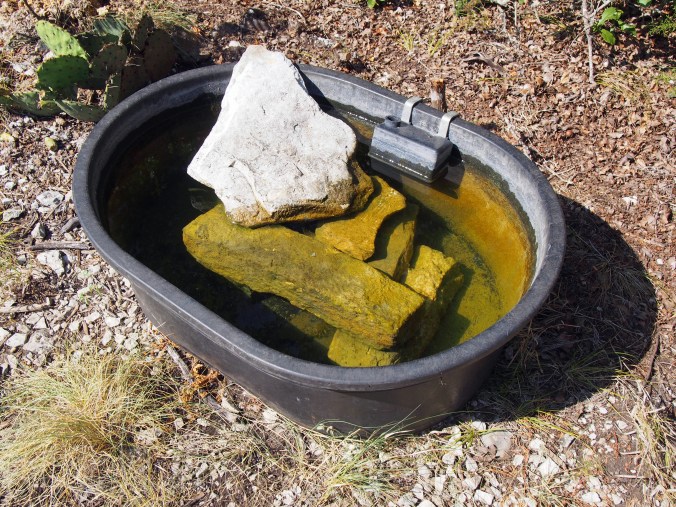 Wildlife tank for deer