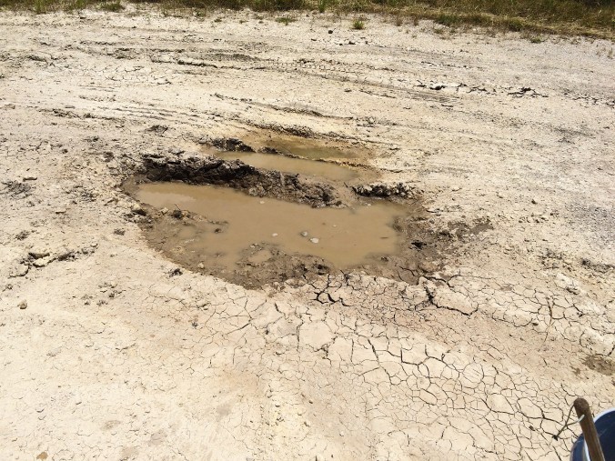 Mud puddle drying up