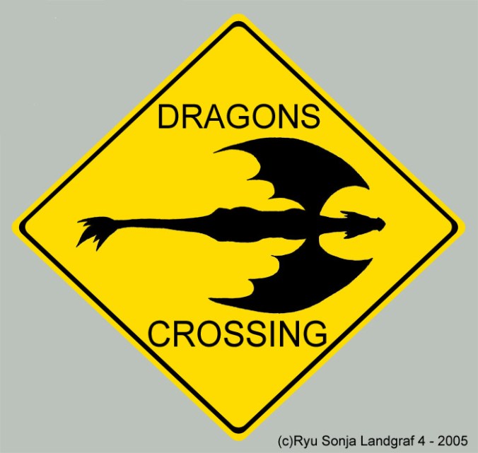 dragons_crossing_by_ryu_sonja